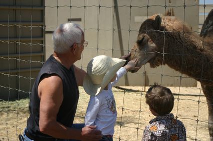 The kids visiting Grandpa Dicks private zoo