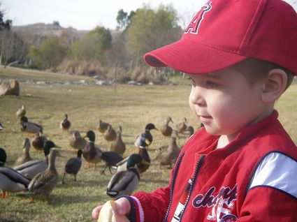 Hudson loves to feed the duckies at the lake