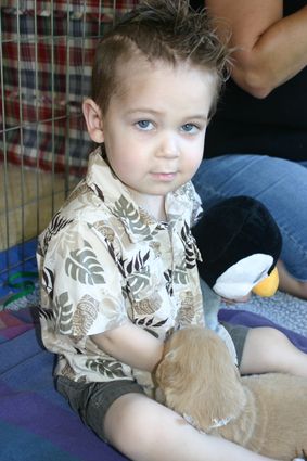 Hudson with a golden retriever puppy